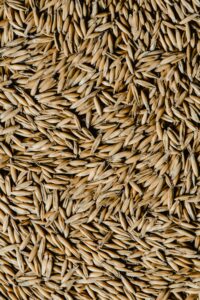 Grain in bulk for FIBC tote